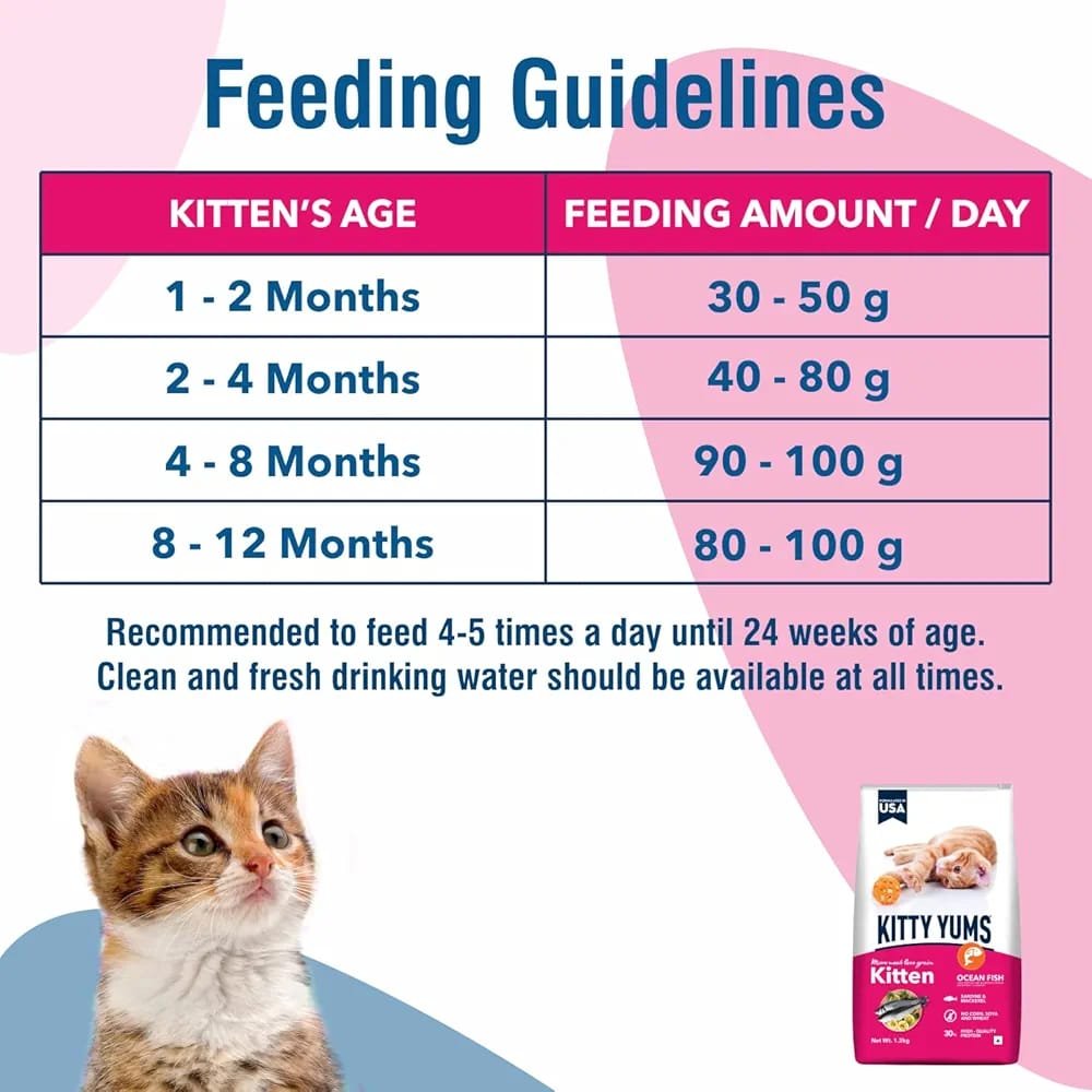 Kitty Yums Kitten1.2kg Pack - Image 2