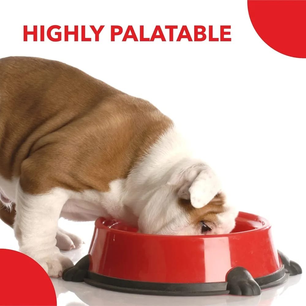Drools Dog Pup Booster - Image 6