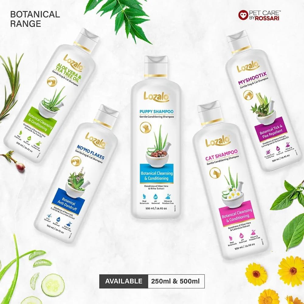 Lozalo Botanical No'mo Flakes Anti Dandruff - Image 3