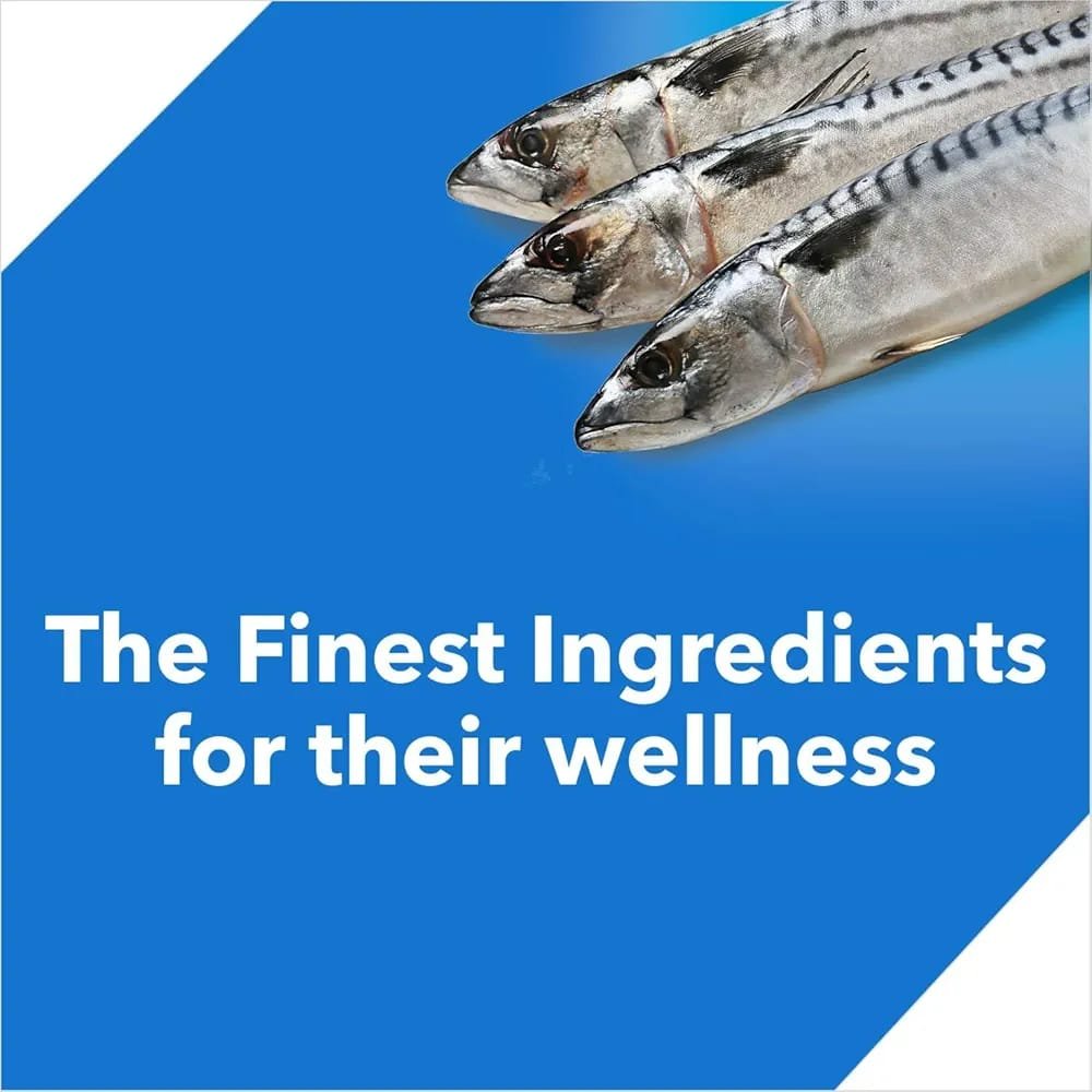 Dry Cat Adult Food Ocean Fish - Image 5