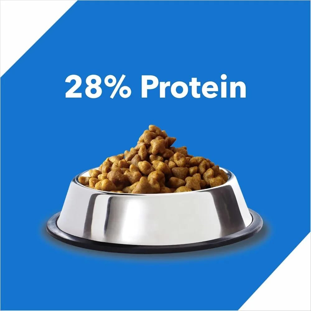 Dry Cat Adult Food Ocean Fish - Image 6