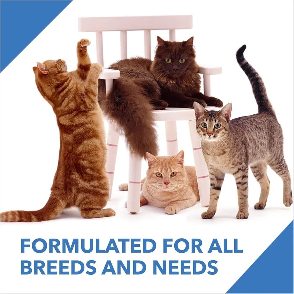 Dry Cat Adult Food Ocean Fish - Image 8